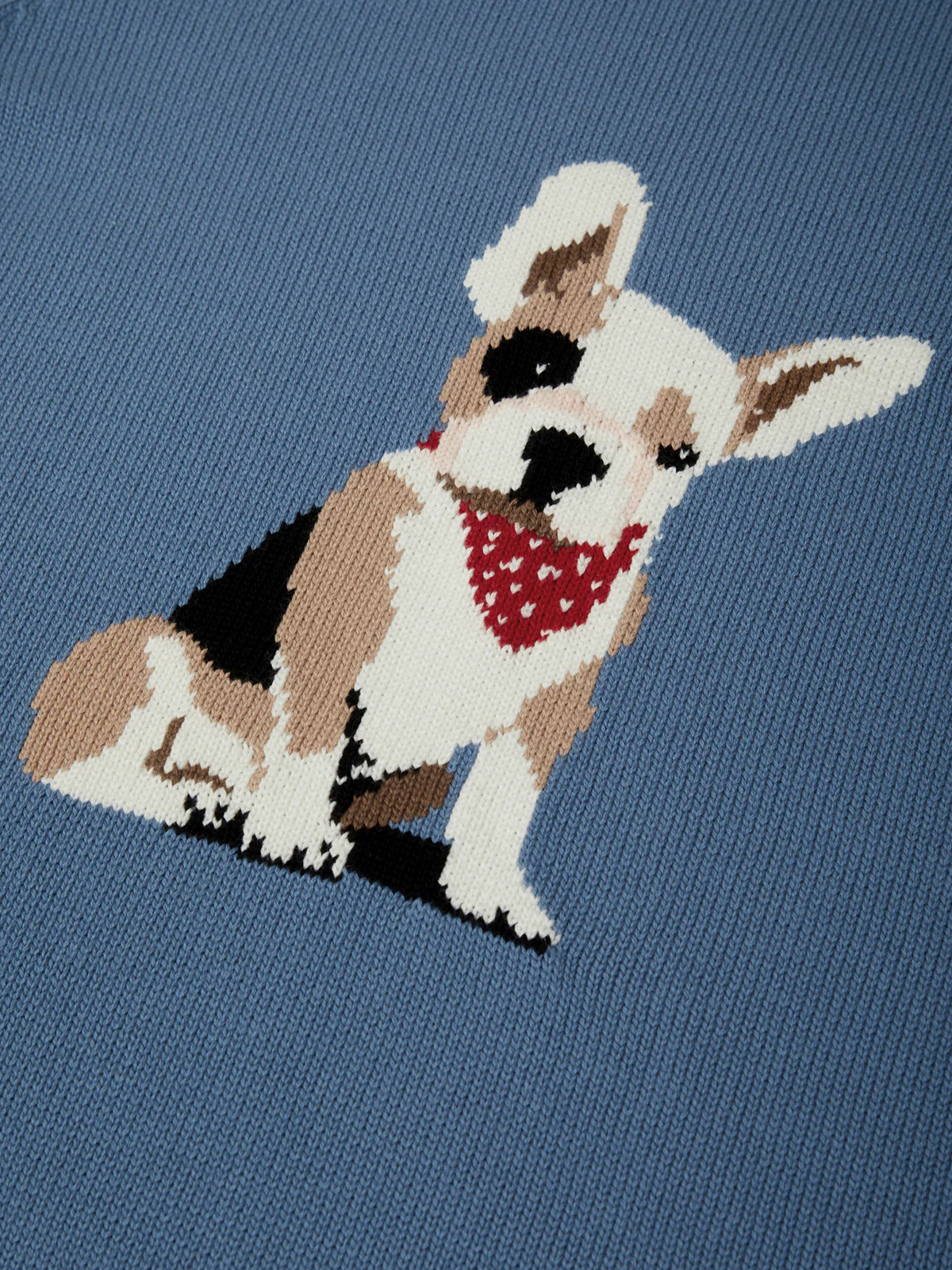 Emma: Cotton Boston Terrier Sweater - Image 4