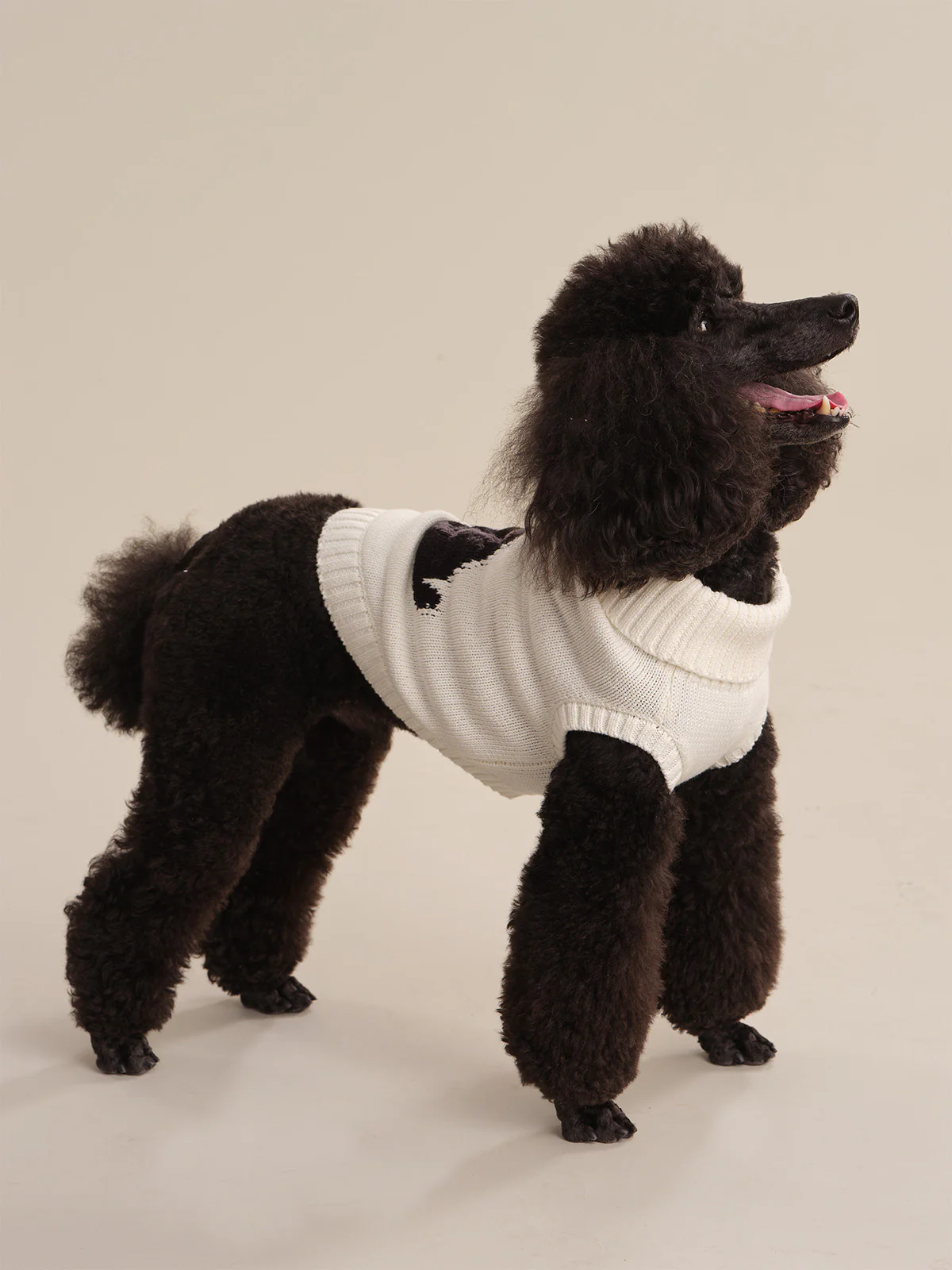Cotton Poodle Dog Sweater - Image 2
